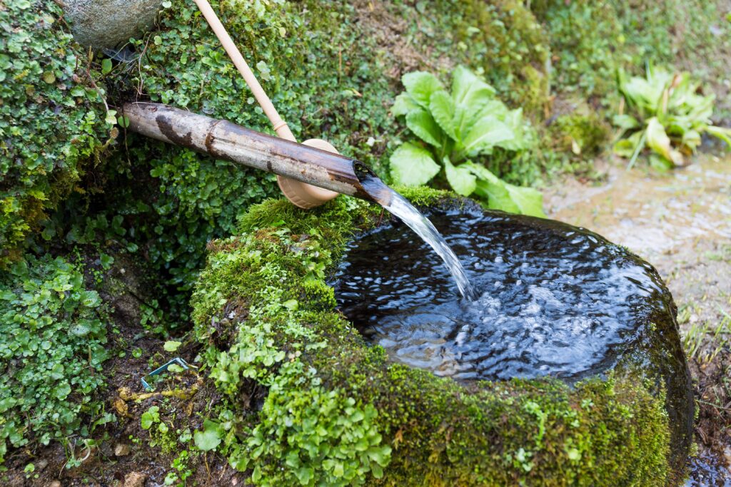 water fountain in japanese temple 2023 11 27 05 19 21 utc 1